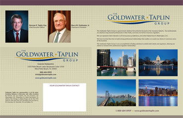 Goldwater Taplin Consultants Bifold Brochure