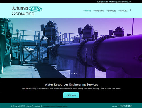 Juturna Consulting Website