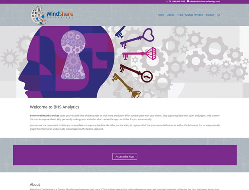 BHS Analytics Website