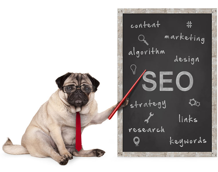 Pug teaching SEO