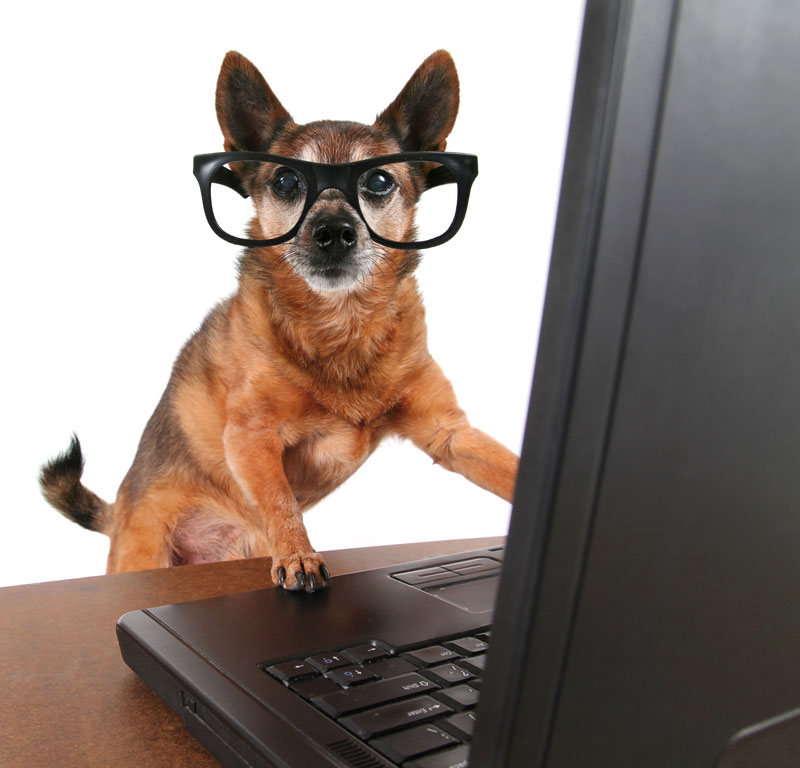 Website on Laptop